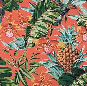 Tropical Dreams