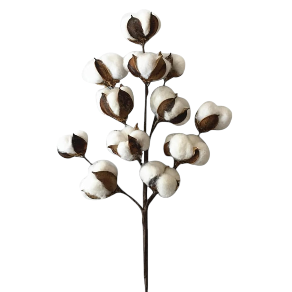 27.5'' 12 Bolls Cotton Spray