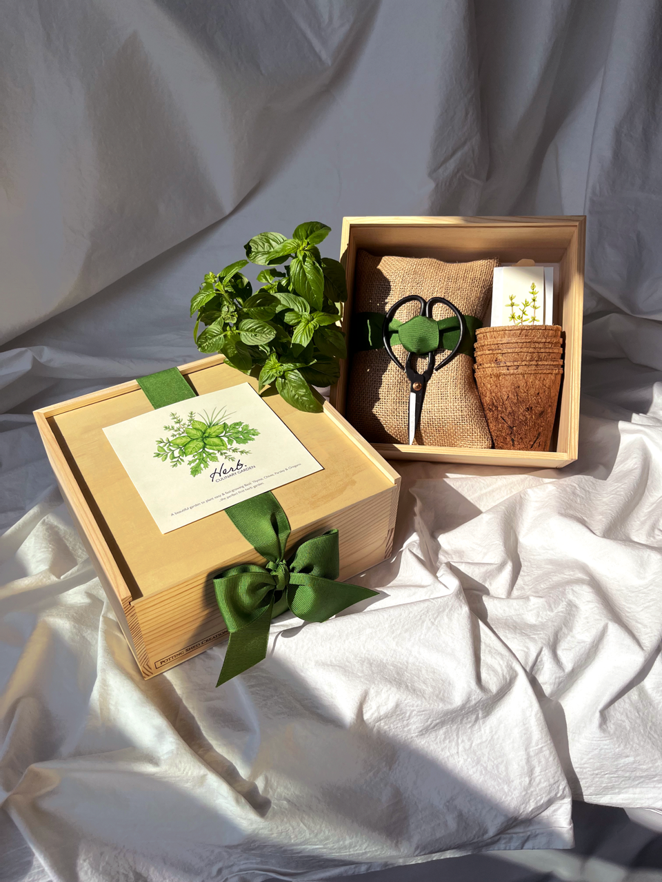 NEW Flower Cutting Garden Box | Mixed Zinnia | Thoughtful