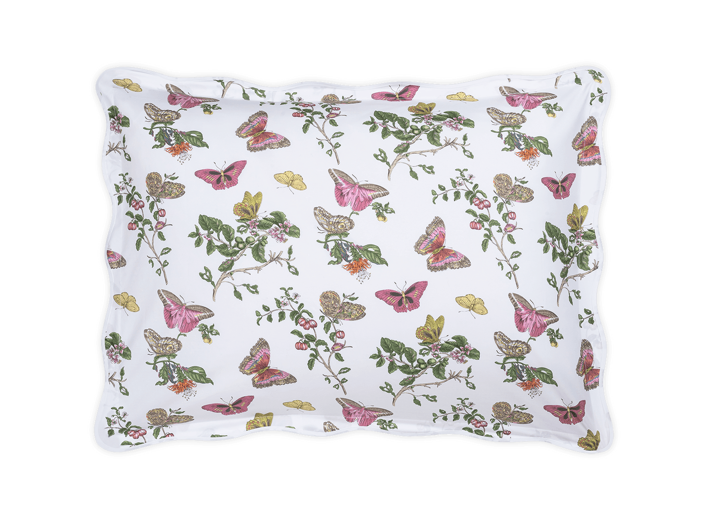 Baudin Butterfly Sham in Pink