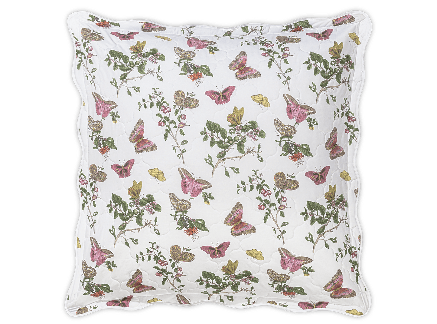 Baudin Butterfly Sham in Pink