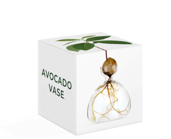 Avocado Vase