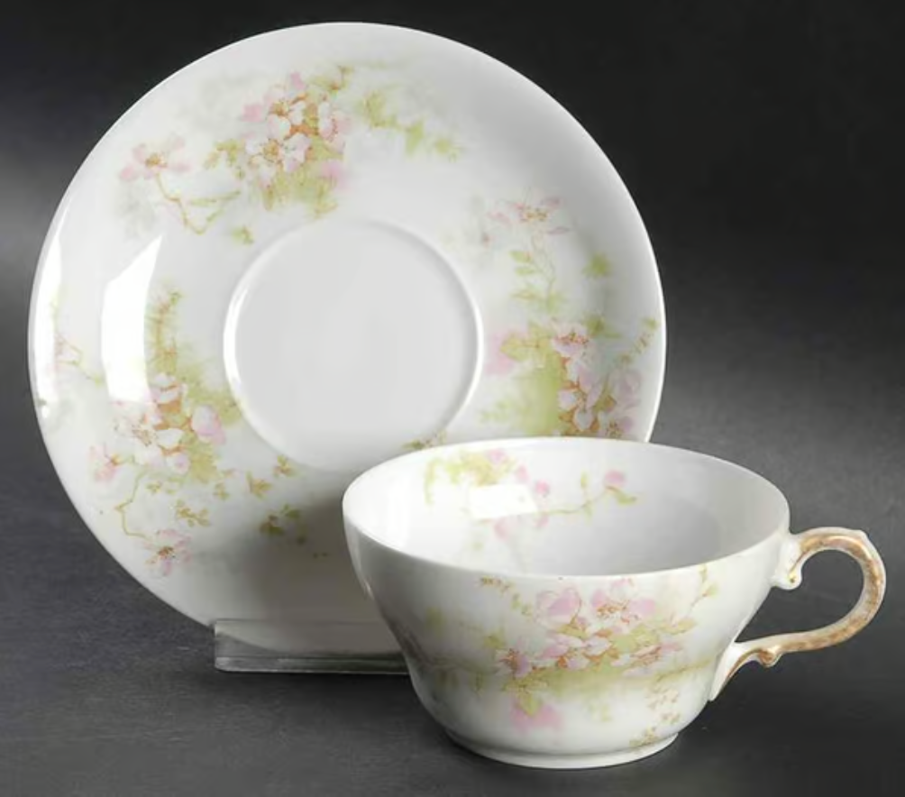Schleiger 146D Flat Cup and Saucer by Haviland