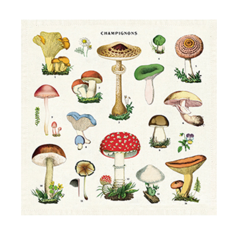 Mushroom Dinner Napkins - Set of Four