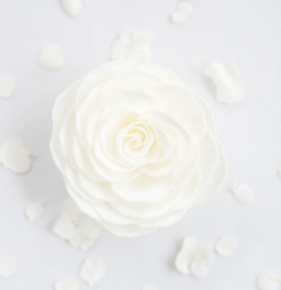 Ann Marie Gardenia Soap