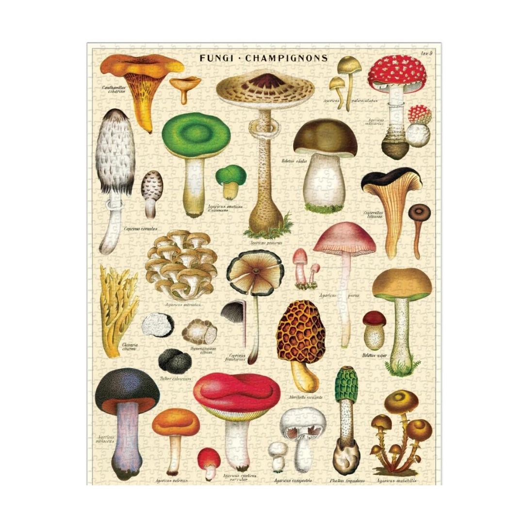 Vintage Mushroom Puzzle