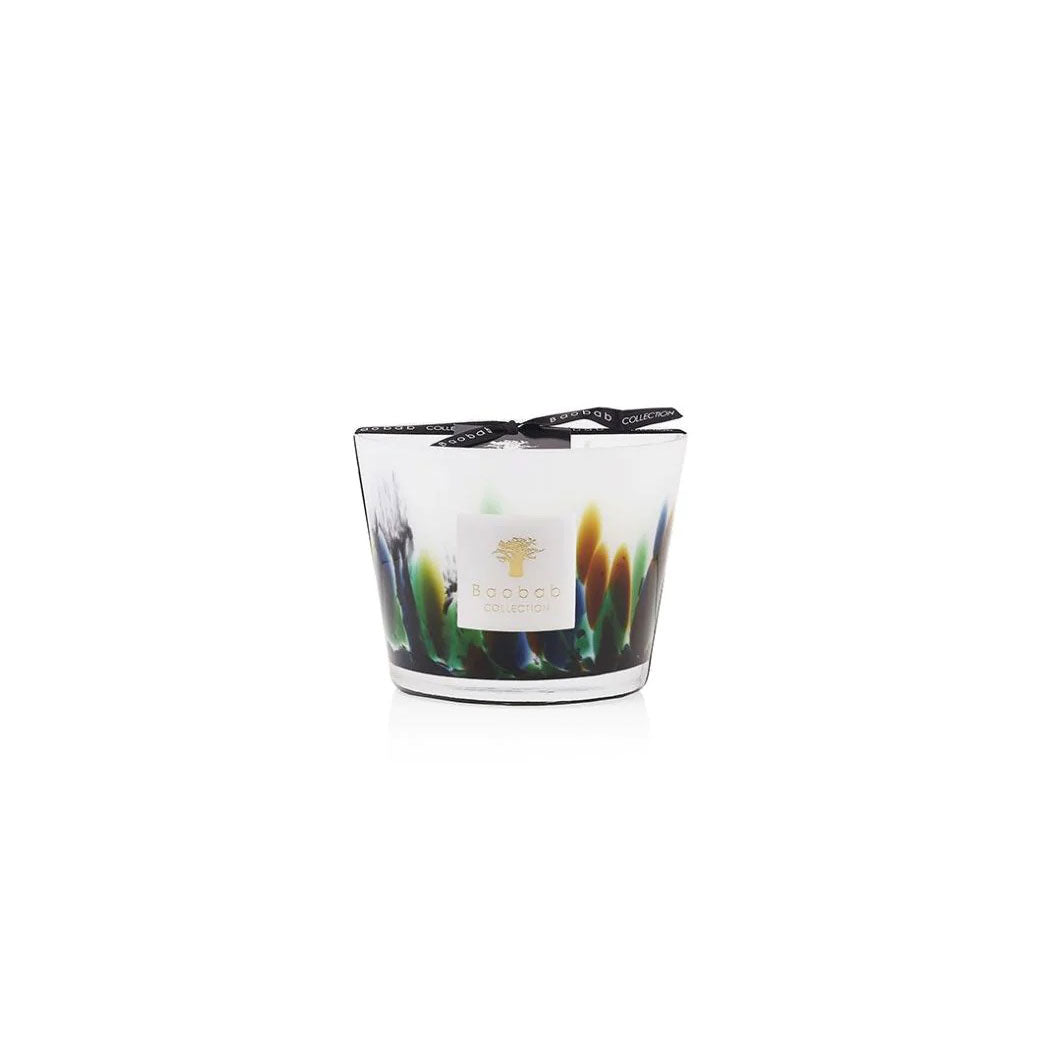 Rainforest Amazonia Candle