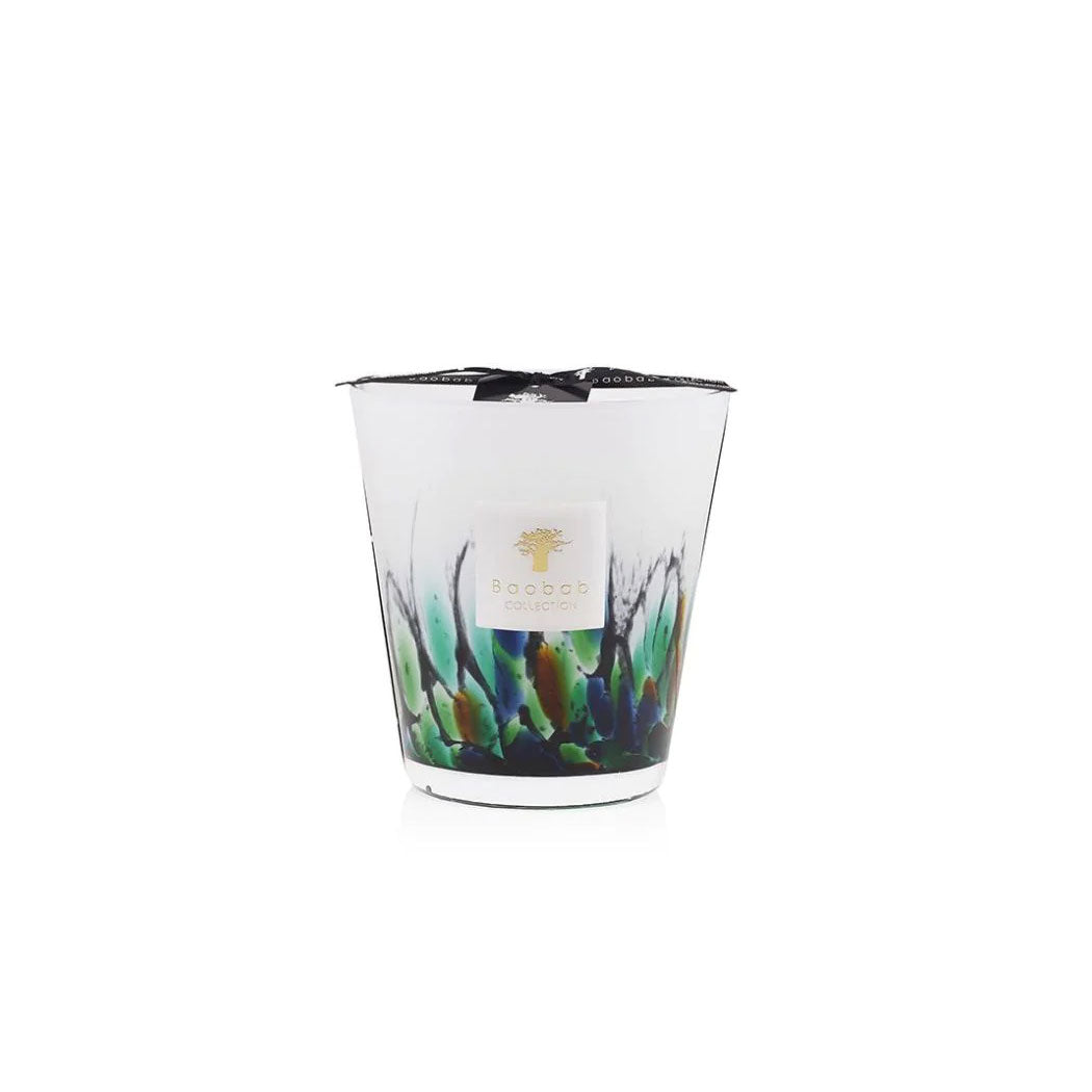 Rainforest Amazonia Candle