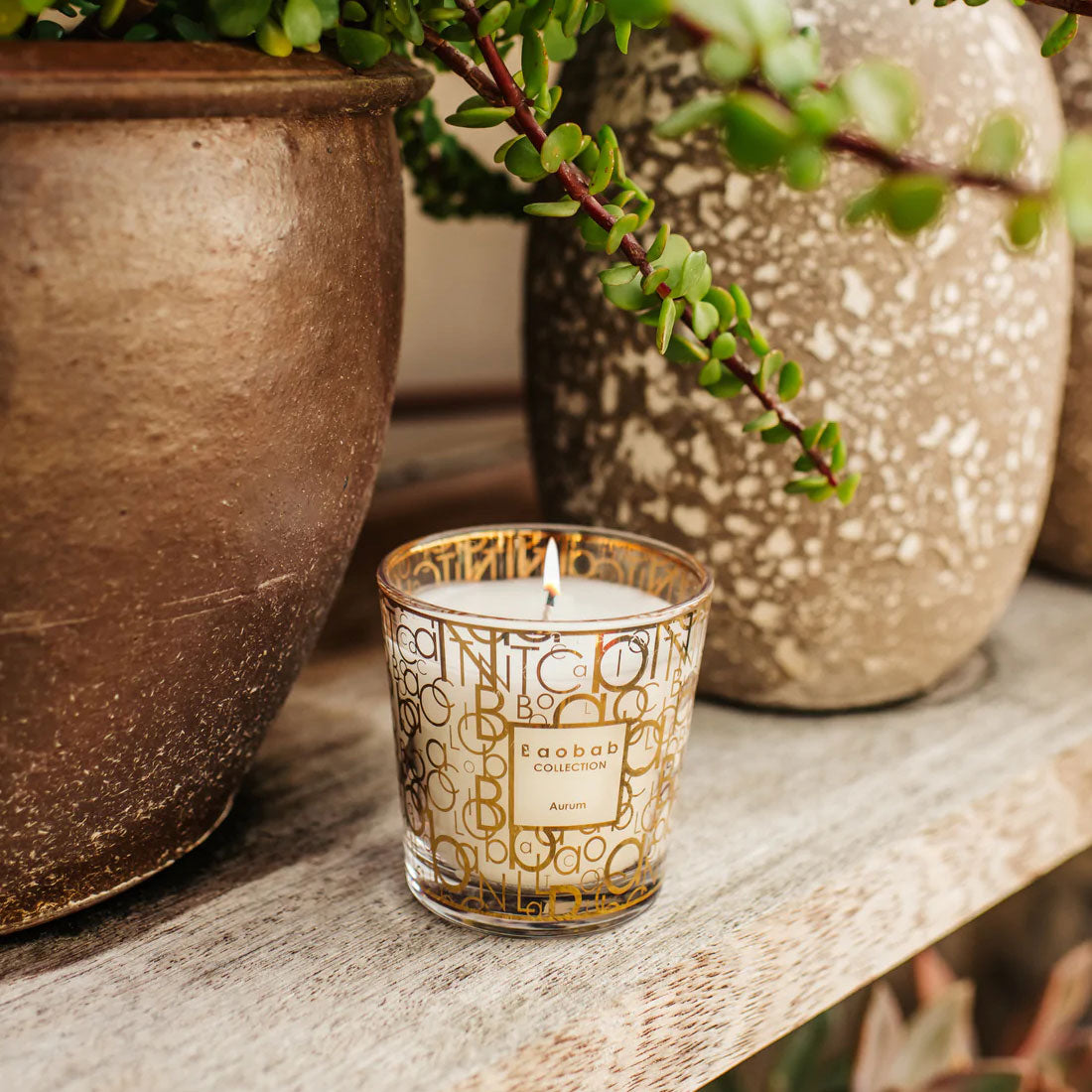 My First Baobab - Aurum Candle