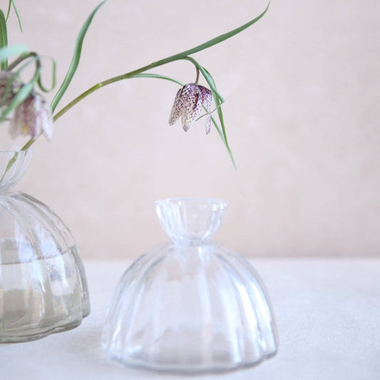 Root Propagation Vase: Small