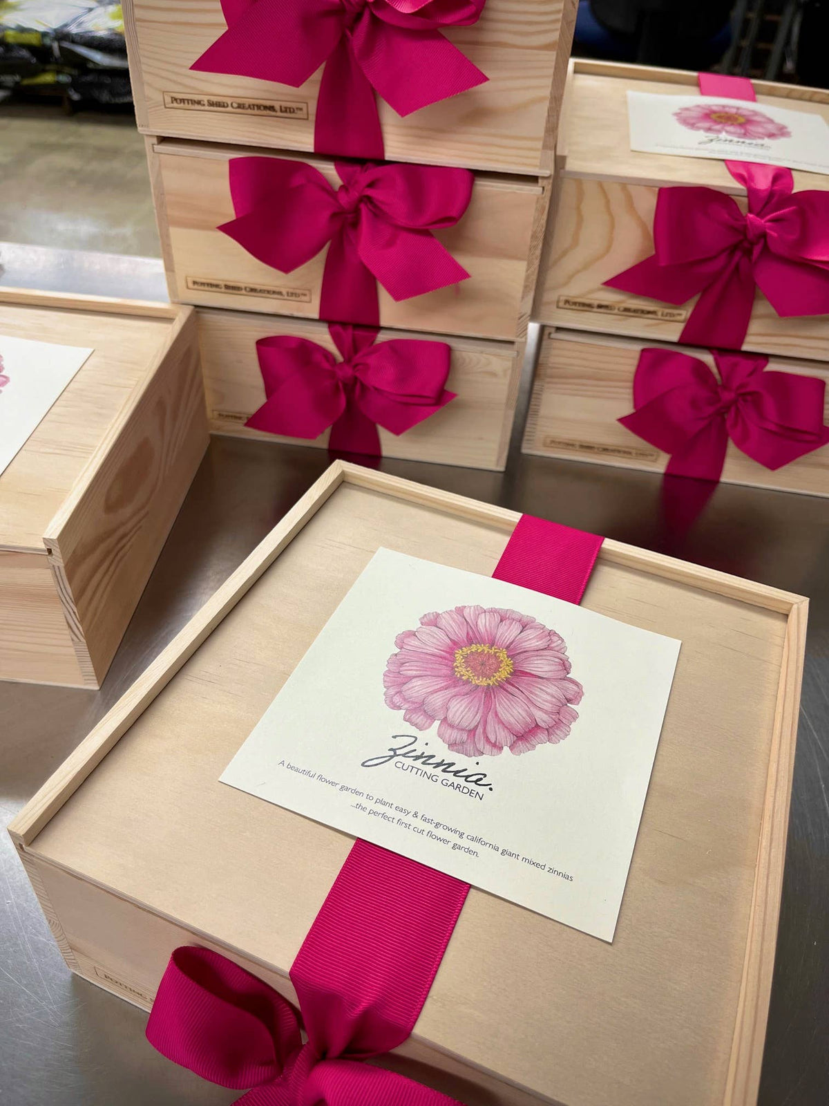 NEW Flower Cutting Garden Box | Mixed Zinnia | Thoughtful