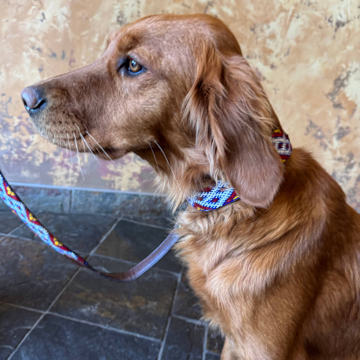 Vintage Kilim & Leather Dog Collar and Leash Set: Small