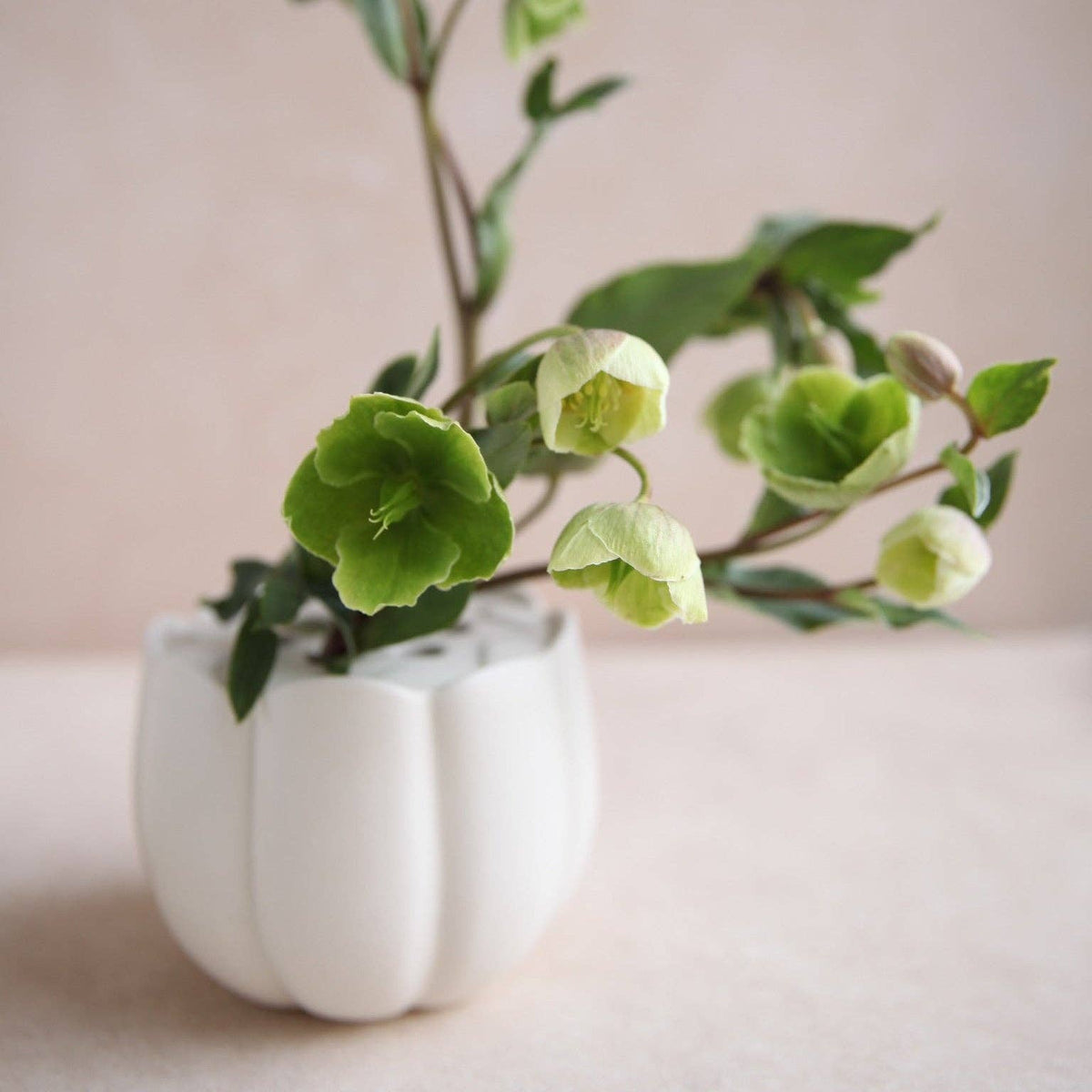 Flower Frog Vases: Large