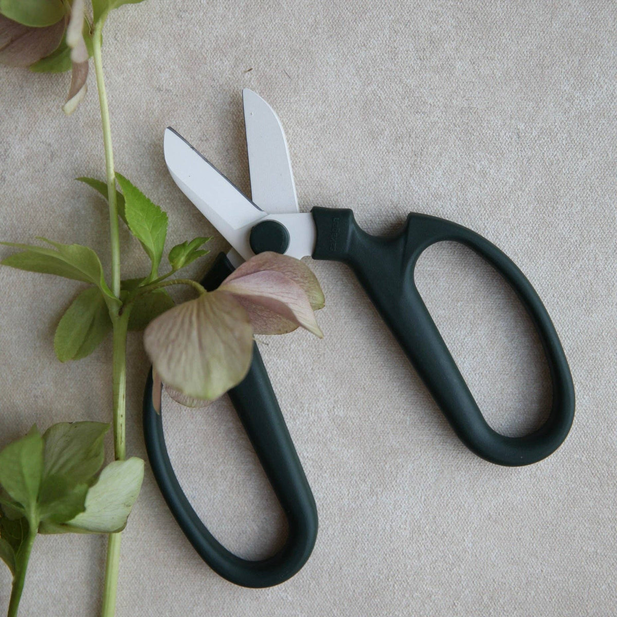 Japanese Floral Clippers: Fog