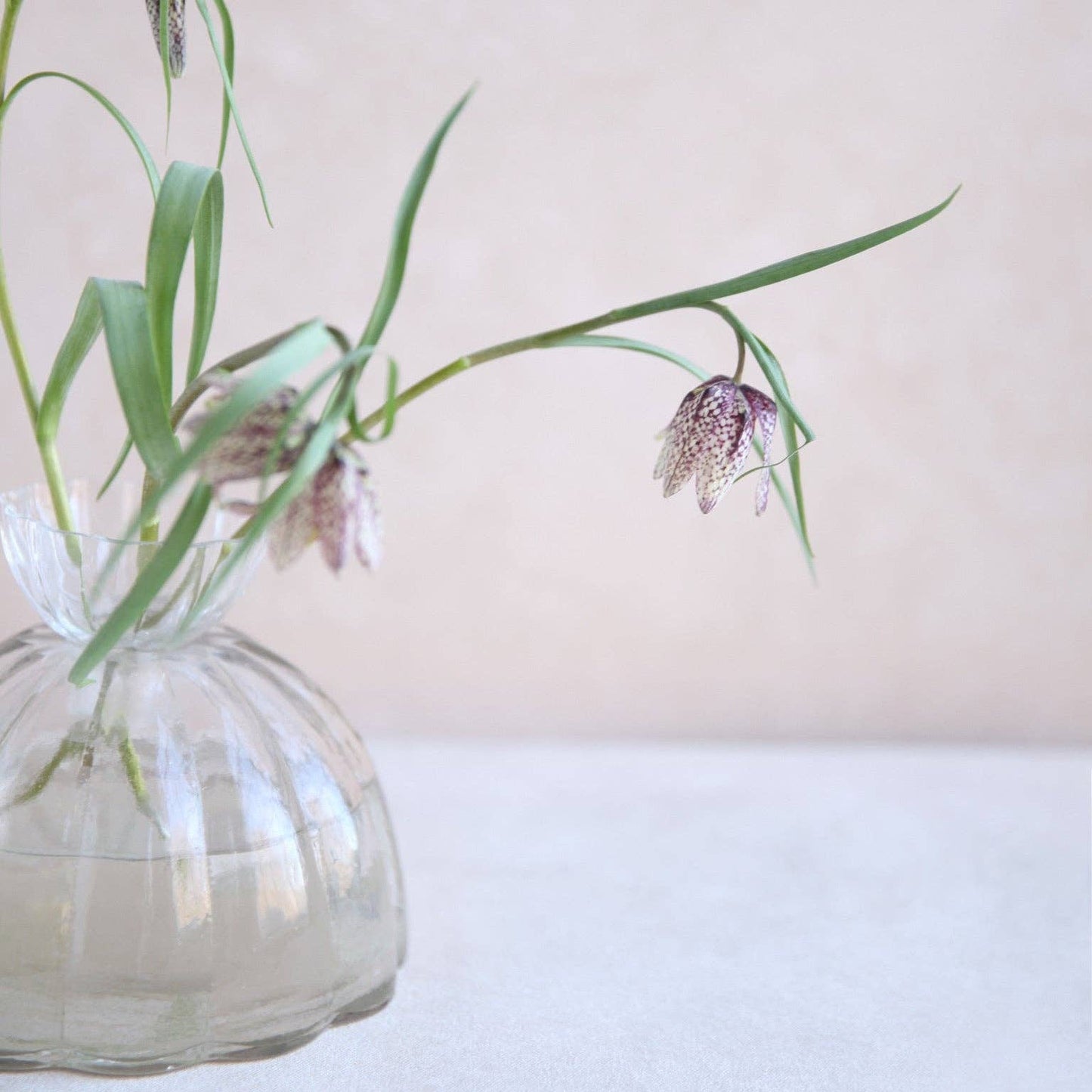 Root Propagation Vase: Large
