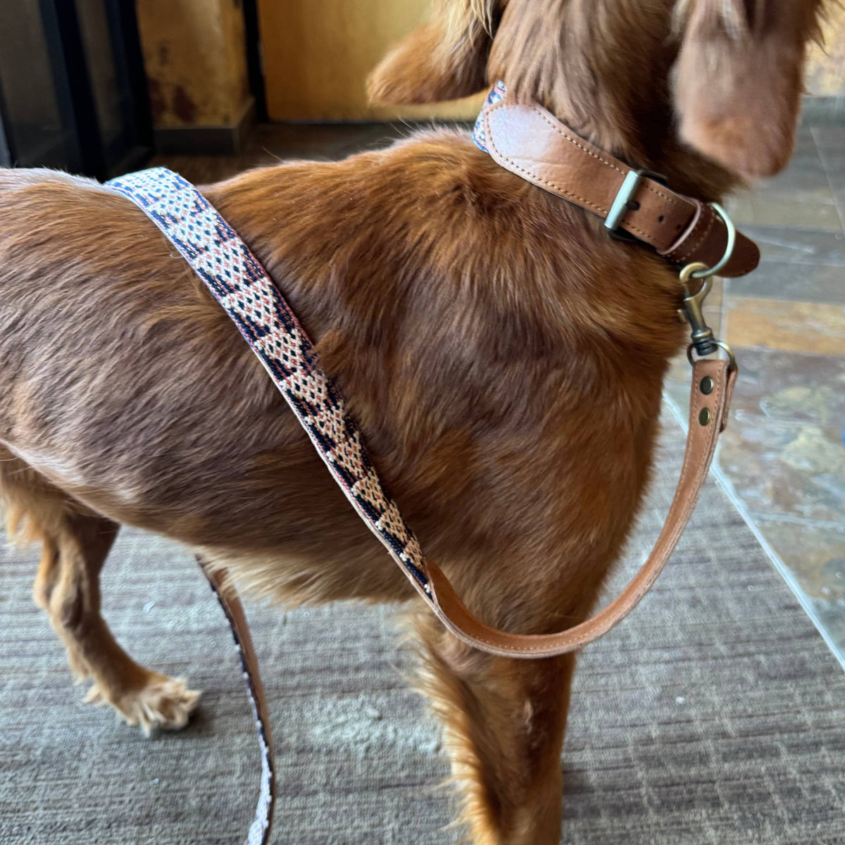 Vintage Kilim & Leather Dog Collar and Leash Set: Medium