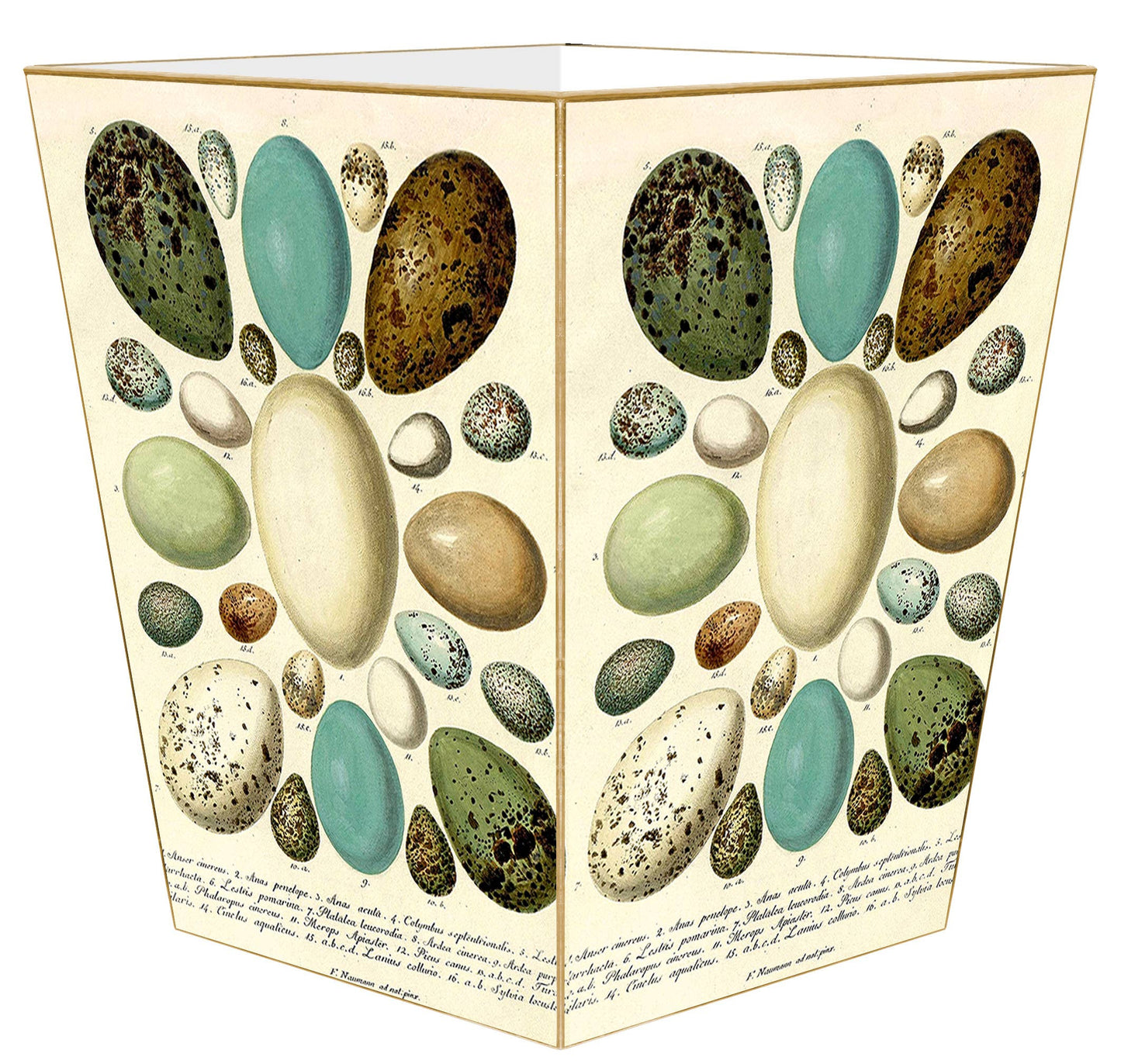 WB8875-Antique Bird Eggs Wastebasket: Scalloped Top