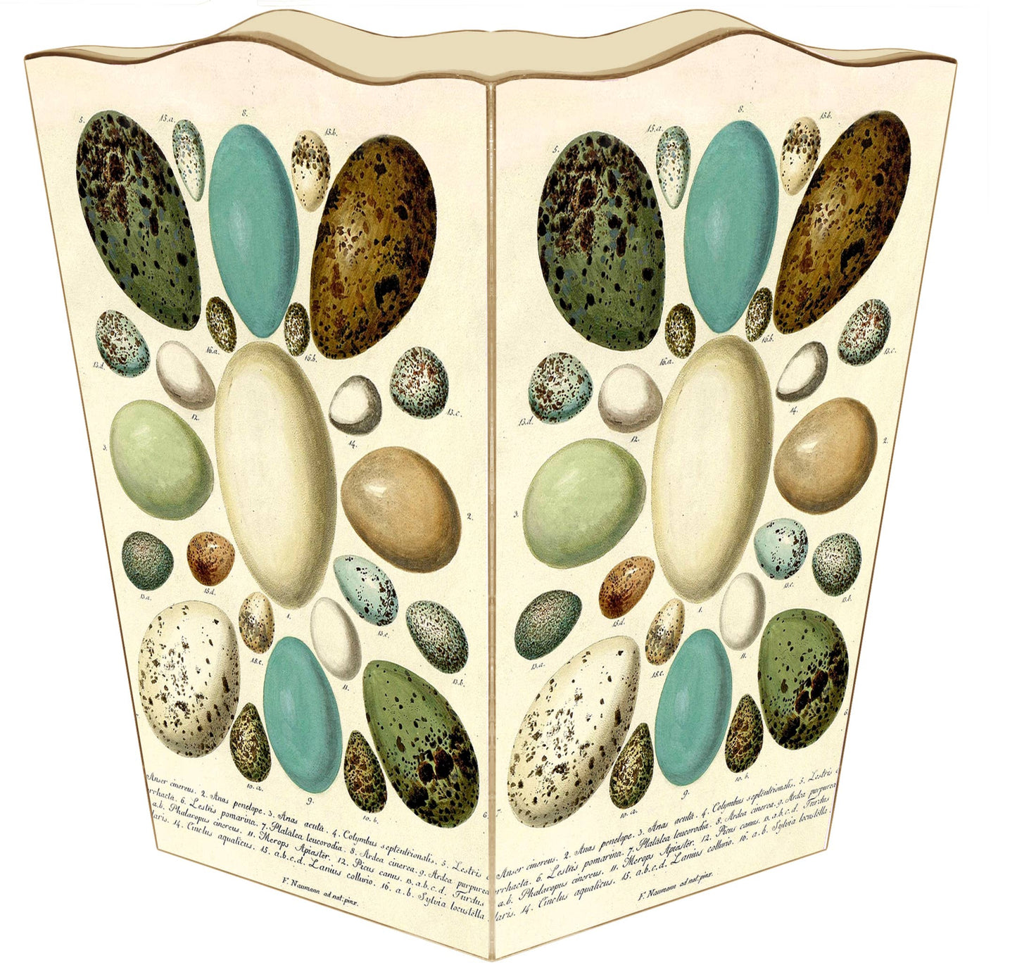 WB8875-Antique Bird Eggs Wastebasket: Scalloped Top