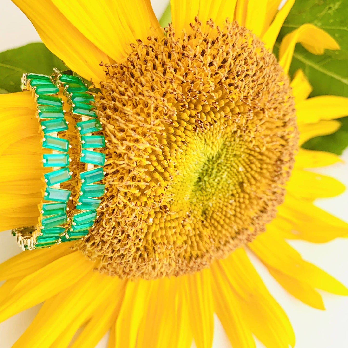 Thea Hoop Medium Earring - (12 Gemstone Options): Rose Quartz