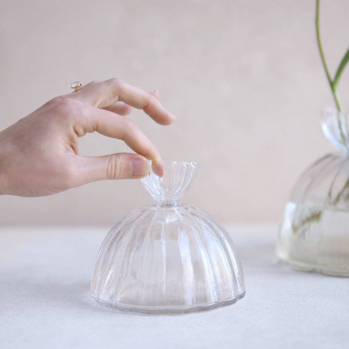 Root Propagation Vase: Small