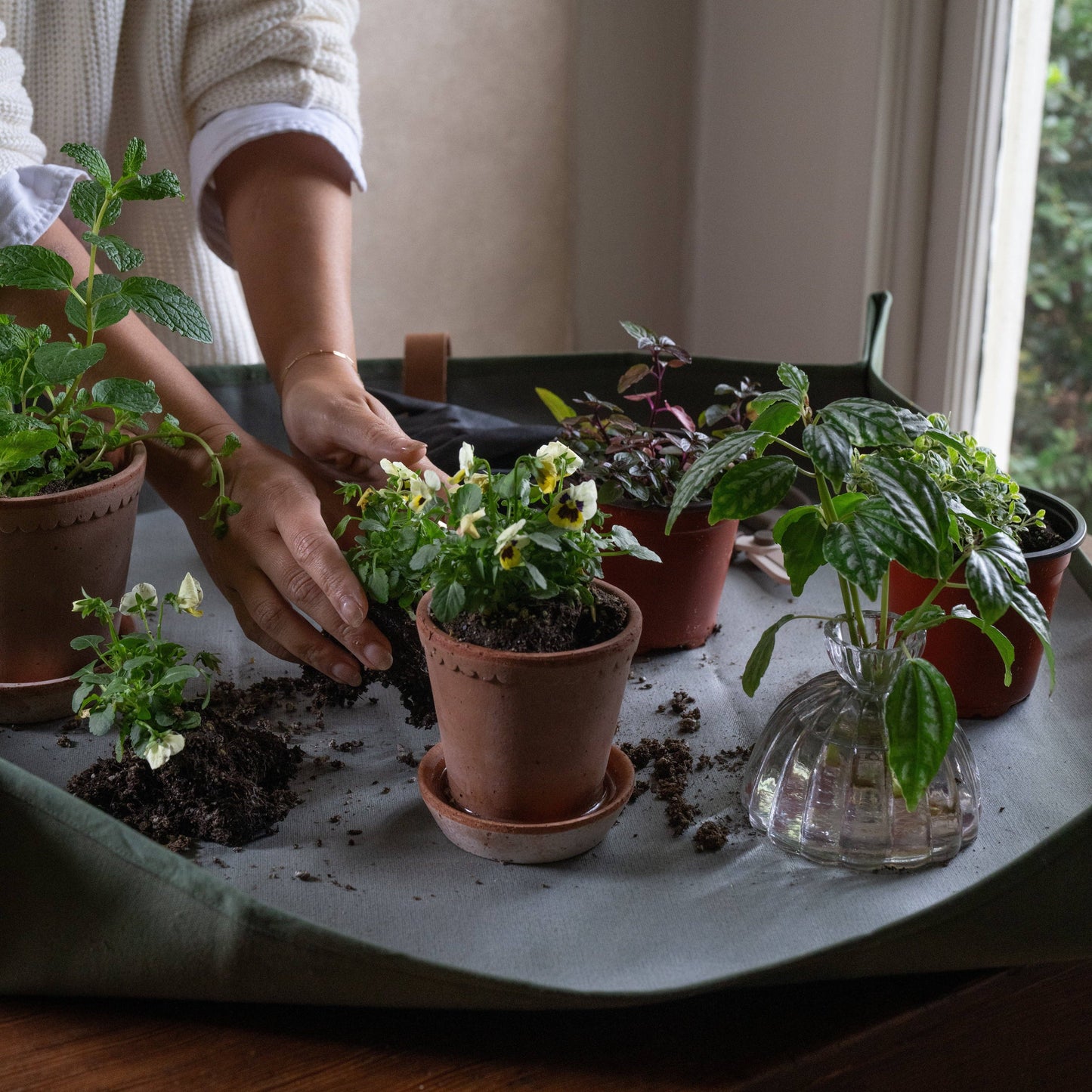 Workshop Mat: Fern