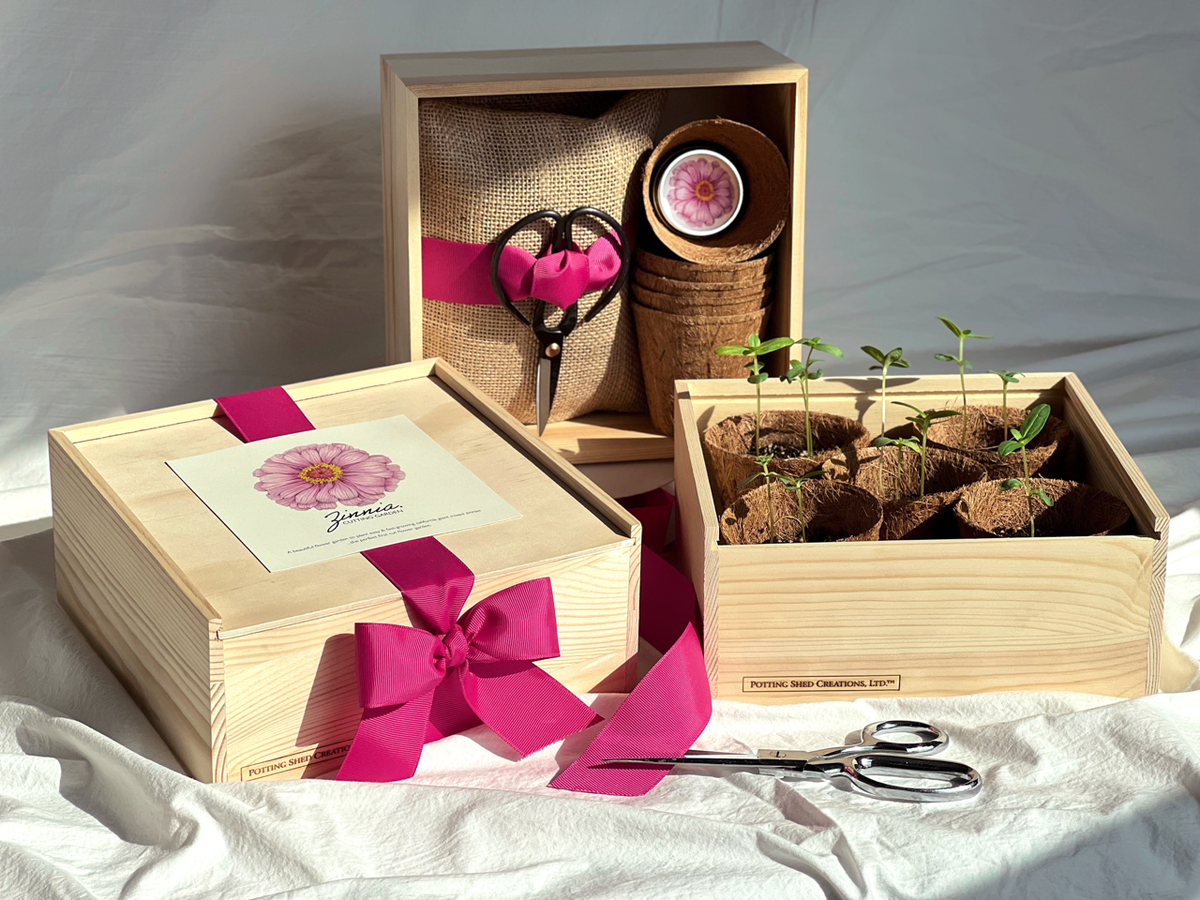 NEW Flower Cutting Garden Box | Mixed Zinnia | Thoughtful