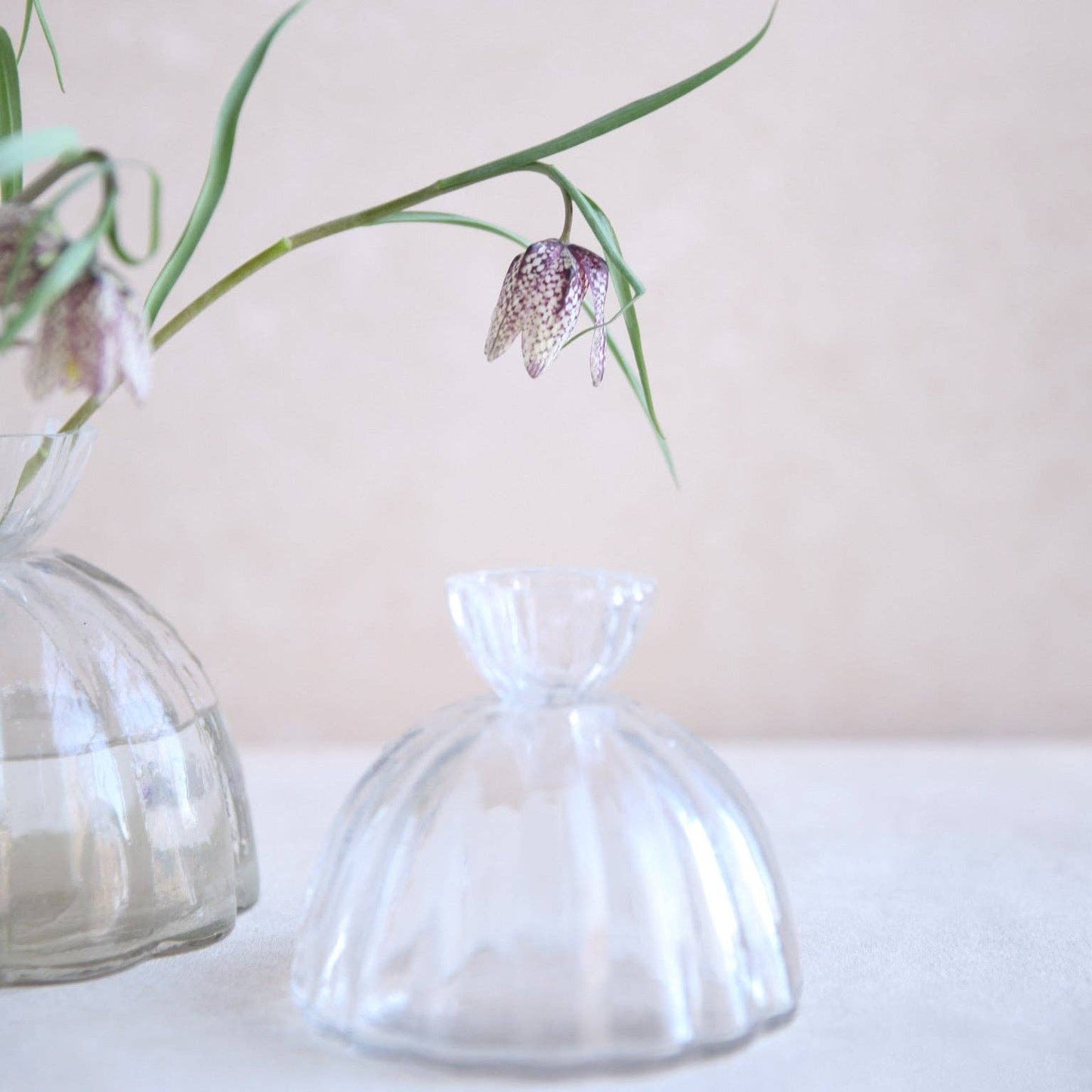 Root Propagation Vase: Small