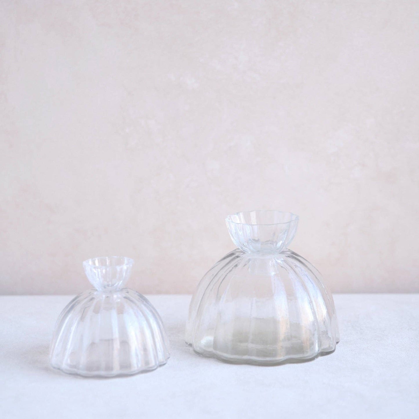 Root Propagation Vase: Large