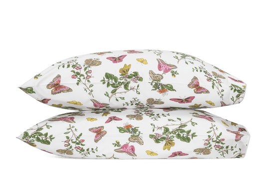 Baudin Butterfly Pillowcase- Pair