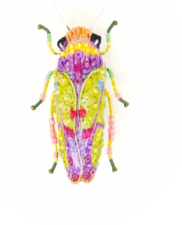 Sharpshooter Beetle Brooch