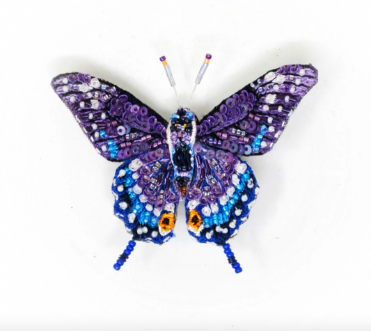 Eastern Black Swallowtail Butterfly