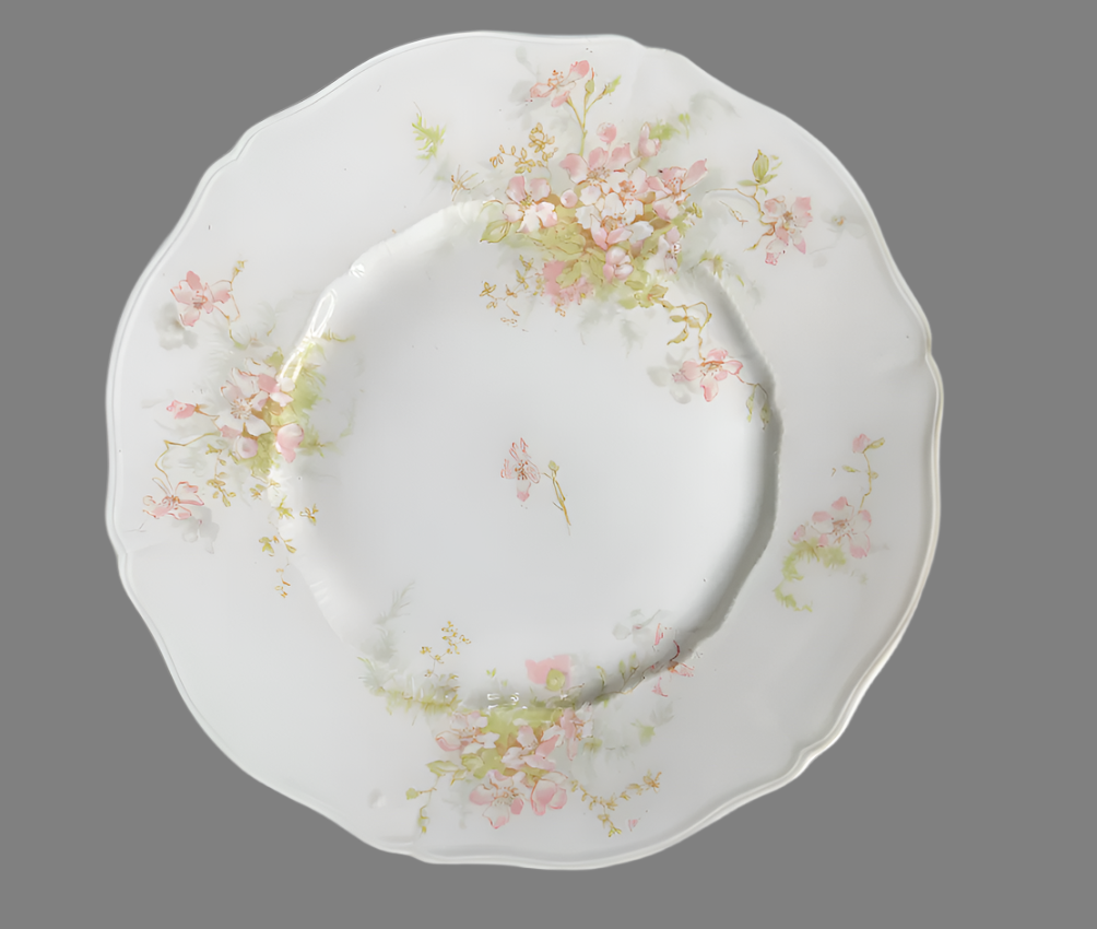 Haviland Schleiger Salad and Dinner Plate Set