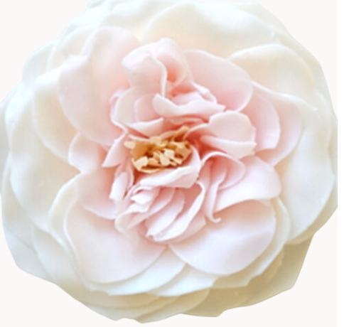 Ann Marie Addie Soap