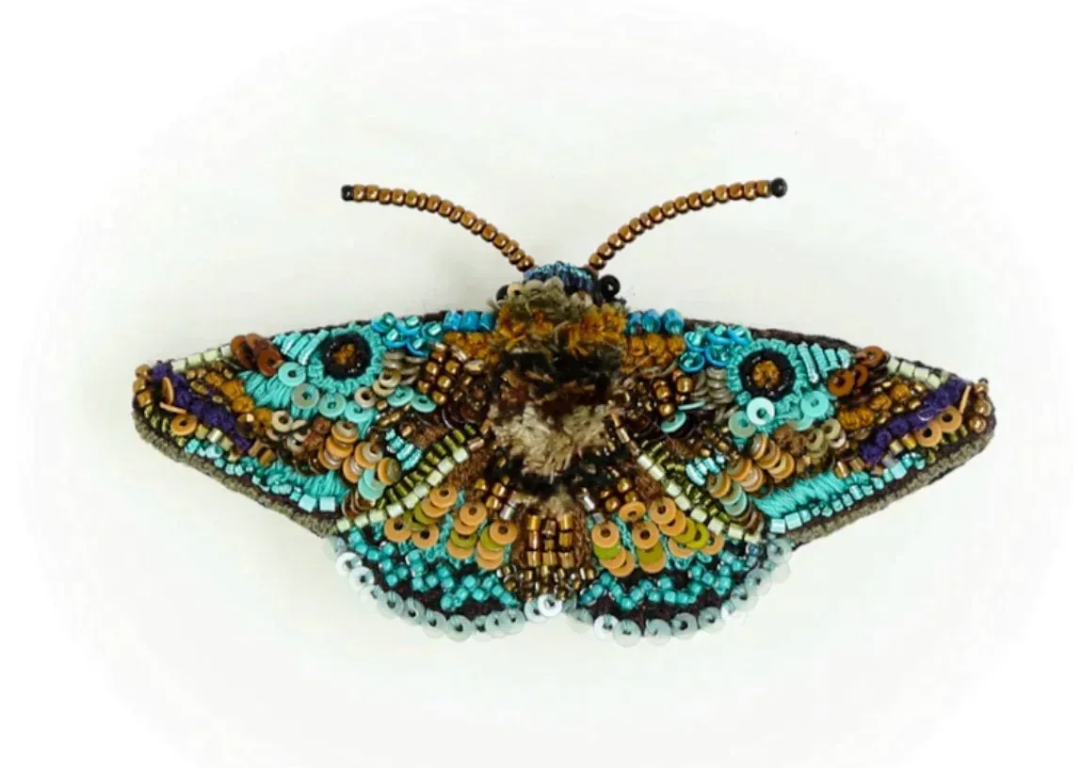 Lanipes Moth Brooch Pin