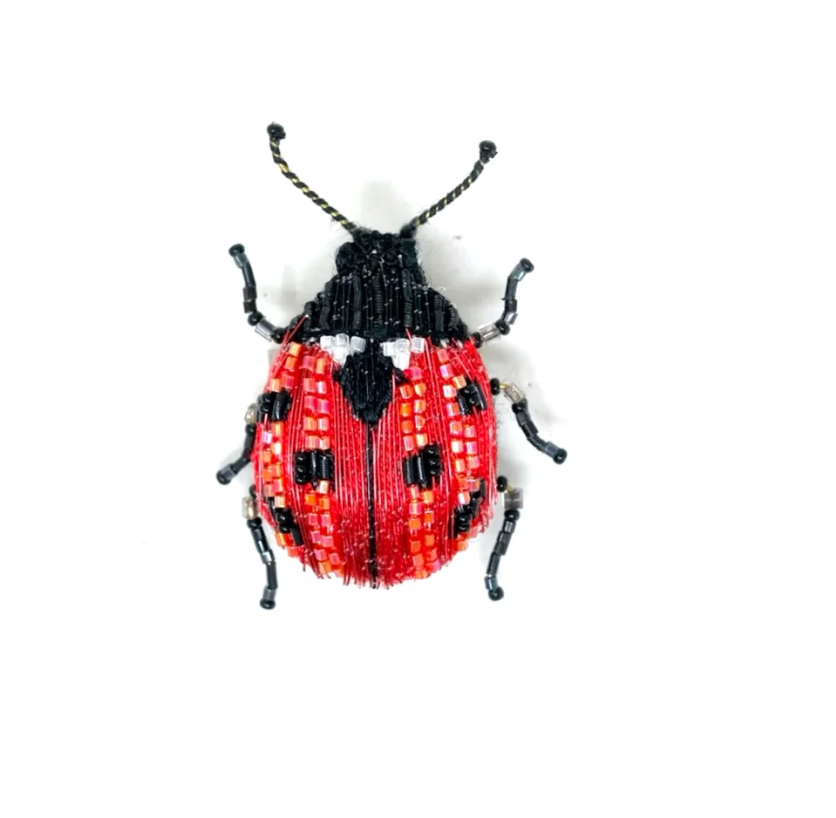 Lucky Lady Bettle Brooch Pin