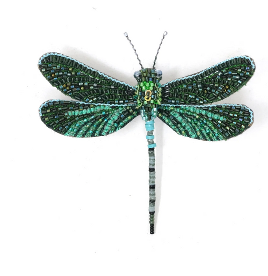 Pondhawk Dragonfly Brooch Pin