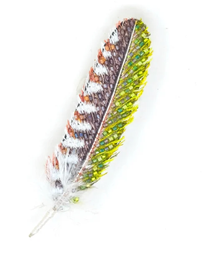 Woodpecker Feather Brooch Pin