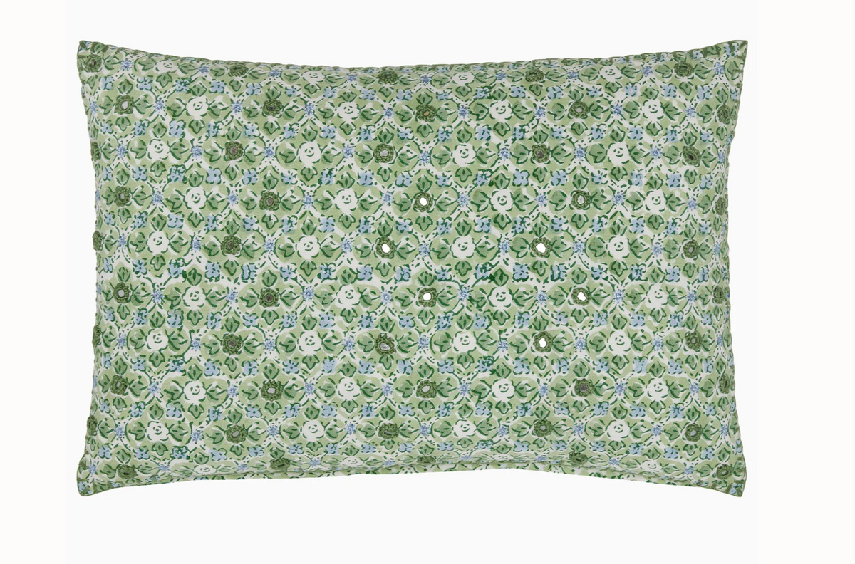 Ankur Kiidney PIllow