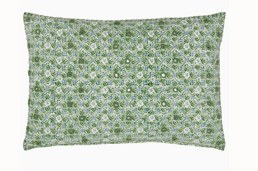 Ankur Kiidney PIllow