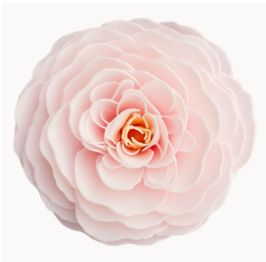 Ann Marie Cherry Blossom Soap
