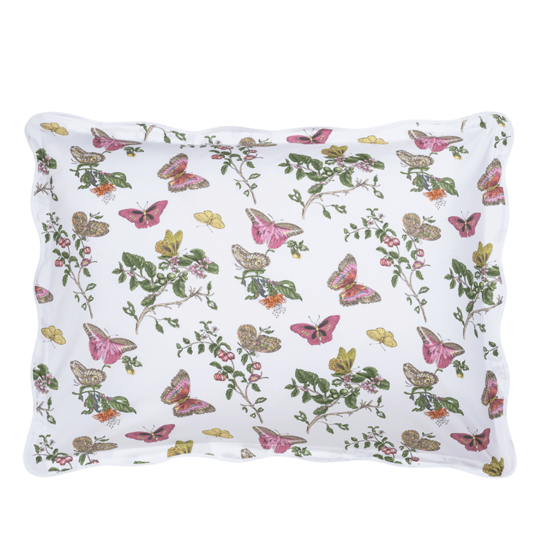 Baudin Butterfly Sham in Pink