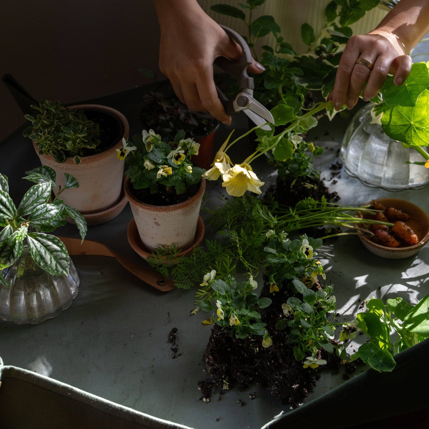 Workshop Mat: Fern