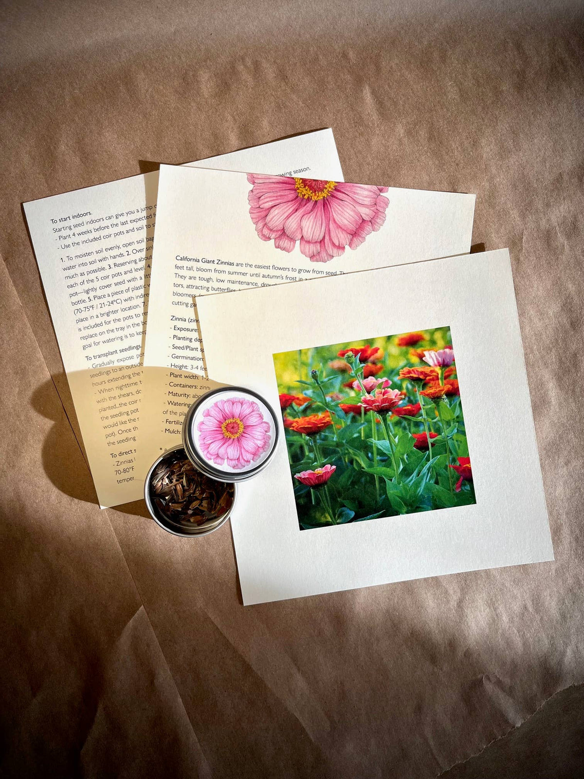 NEW Flower Cutting Garden Box | Mixed Zinnia | Thoughtful