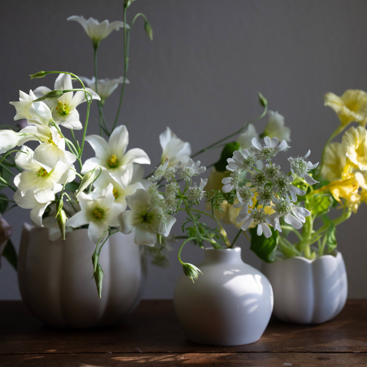 Flower Frog Vases: Large